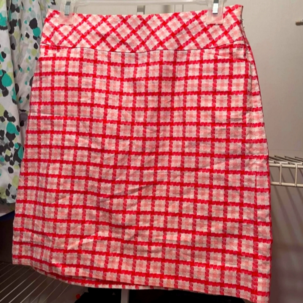 Ann Taylor Skirt